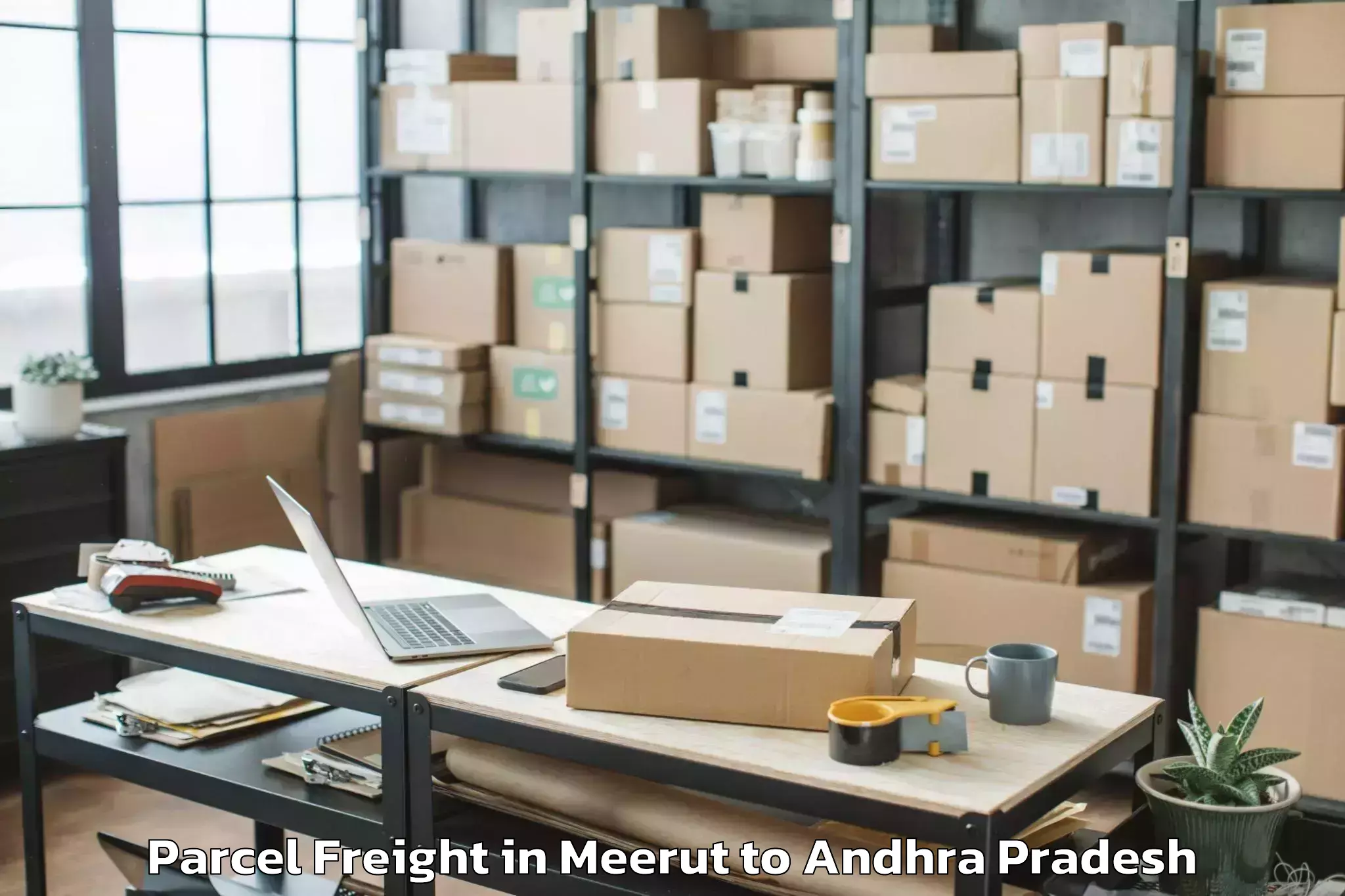 Book Meerut to Tsunduru Parcel Freight Online